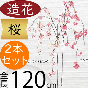   TN  ^  lC A A[eBtBVt[ lHϗtA CeAO[ tFCNO[ A[gt[ t[AWg ԍ fBXv