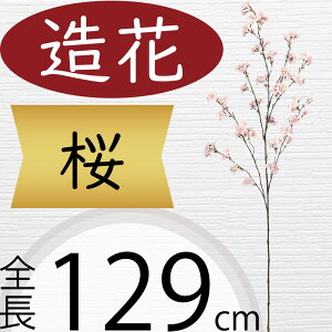   TN  ^  lC A A[eBtBVt[ lHϗtA CeAO[ tFCNO[ A[gt[ t[AWg ԍ fBXv