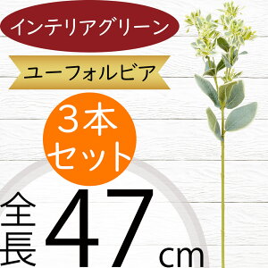 tFCNO[ [tHrA  lC CeAO[ A  lHϗtA ԍ ϗtA A[gvc t[AWg fBXvC pi G Ƌ }