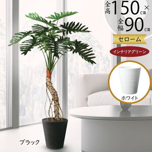 tFCNO[ Z[  lC A CeAO[ ϗtA lHϗtA lH  A[gO[ CeA IuWF  Vzj JXj Mtg ^ 