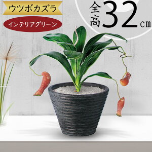 tFCNO[ Ec{JY HA  lC A CeAO[ lHϗtA  lH ϗtA A[gO[ CeA IuWF  t  Mtg 