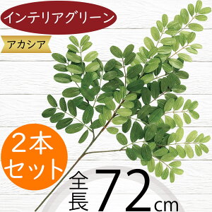 tFCNO[ AJVA ^  lC CeAO[ A lHϗtA  lH A[gvc A[gO[ ϗtA ChAO[ CeA G Ƌ 