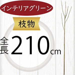 } } ^ tFCNO[  lC CeAO[ A lHϗtA  A[gvc A[gO[ lH  u`  CeA Ƌ fBXv