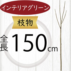 } } ^ tFCNO[  lC CeAO[ A lHϗtA  A[gvc A[gO[ lH  u`  CeA Ƌ fBXv