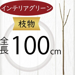 } } ^ tFCNO[  lC CeAO[ A lHϗtA  A[gvc A[gO[ lH  u`  CeA Ƌ fBXv