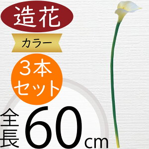  J[  lC zCg  J[[ A tFCNO[ CeAO[ ϗtA lHϗtA A[eBtBVt[ t[AWg {