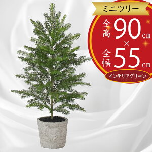 NX}Xc[   lC tFCNO[ CeAO[ lHϗtA ϗtA   lH A CeA Ƌ u G IuWF e[uTCY ^ 