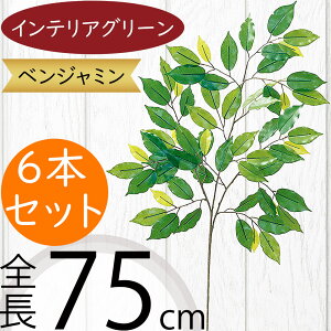 tFCNO[  lC CeAO[ xW~ tBJX A lHϗtA  lH A[gvc A[gO[ xW~i t[AWg f