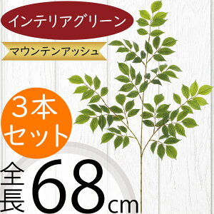 tFCNO[  lC CeAO[ A lHϗtA  lH A[gvc A[gO[ t[AWg fBXvC IuWF  ԍ t t