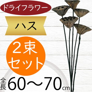 hCt[ nX  lC VRf Rf hCf } } u` CeAO[ ϗtA CeA Ƌ t[AWg fBXvC ꑕ 