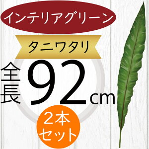 tFCNO[ ^ ^j^  CeAO[ A lHϗtA ϗtA  lH A[eBtBVt[ ԍ t t[AWg fBXvC 