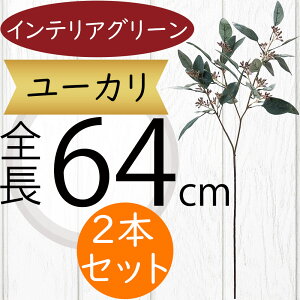 [J tFCNO[  CeAO[ lC A ϗtA  A[gvc lHϗtA A[gO[ lH [J̖ } } ԍ t t t