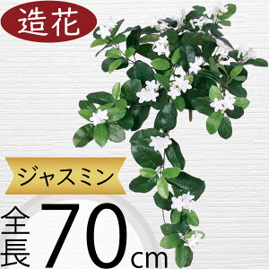 WX~   A A[eBtBVt[ lHϗtA CeAO[ A[gt[ G Ƌ tFCNO[ t[AWg IuWF fBXv