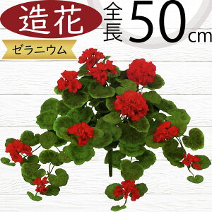 [jE [j[  bh   tFCNO[ lC A CeAO[ lHϗtA ԍ t A[gt[ A[eBtBVt[ t[A