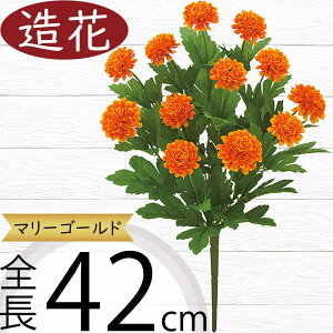 }[S[h   lC A A[eBtBVt[ lHϗtA CeAO[ A[gt[ G Ƌ tFCNO[ t[AWg fBXv