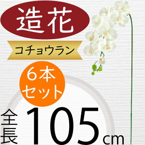 Ӓ  ^  lC Mtg v[g t[AWg j JX JƏj J@ ړ]j i A[eBtBVt[ R`E I[Lbh t@mv