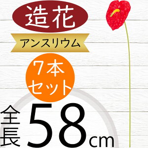 AXE   lC A[eBtBVt[ CeAO[ tFCNO[ A lHϗtA A[gt[ t[AWg fBXvC  ԍ