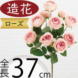 o [Y   KN ΂ A A[eBtBVt[ lHϗtA CeAO[ A[gt[ G tFCNO[ t[AWg fBXvC 