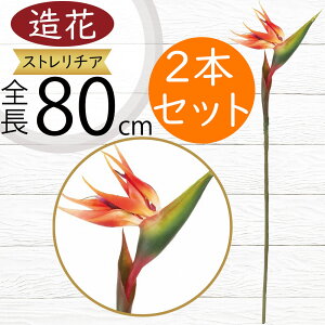 Xg`A Xg`A   lC ^ Ɋy A[eBtBVt[ A A[gt[ lHϗtA t[AWg fBXvC  gsJ 썑