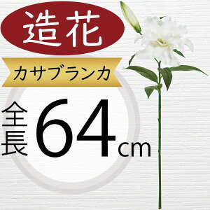 JTuJ   zCg  lC A[eBtBVt[ A lHϗtA Mtg v[g t[AWg tFCNO[ fBXvC  Ce