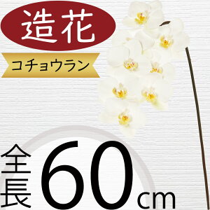 Ӓ  zCg   lC Mtg v[g t[AWg j JXj JƏj J@j ړ]j i A[eBtBVt[ R`E I[