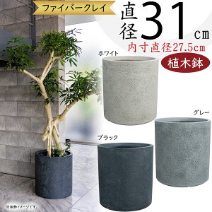 Aؔ ^  lC v^[ |bg  ϗtA ChAO[ K[fjO  eX oRj[  zCg  O[ D ubN  唫 V_[ ~ ^ 