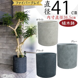 Aؔ ^  lC v^[ |bg  ϗtA ChAO[ K[fjO  eX oRj[  zCg  O[ D ubN  唫 V_[ ~ ^ 