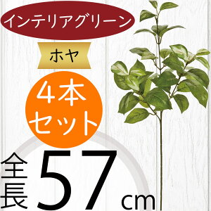 tFCNO[ z  lC CeAO[ A  lHϗtA ԍ ϗtA A[gvc t[AWg fBXvC  G Ƌ } } 