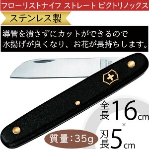 t[XgiCt rNgmbNX Xg[g Ԍ g lC ԍ   |pi n iCt XeX t[ Ntg i ㎿   t  } t