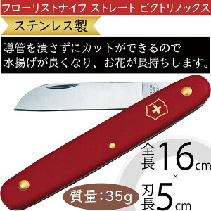 t[XgiCt rNgmbNX Xg[g Ԍ g lC ԍ   |pi n iCt XeX t[ Ntg i ㎿   t  } t