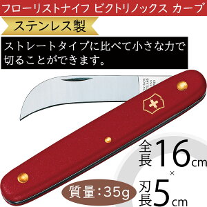 t[XgiCt rNgmbNX J[u Ԍ g lC ԍ   |pi n iCt XeX t[ Ntg i ㎿   t  } t[