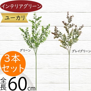 [J tFCNO[  CeAO[ lC A ϗtA  A[gvc lHϗtA A[gO[ lH [J̖ } } ԍ t t t