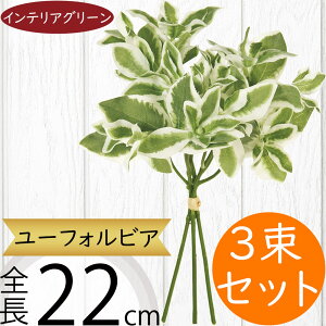 tFCNO[ [tHrA  lC CeAO[ A  lHϗtA ԍ ϗtA A[gvc t[AWg fBXvC  G Ƌ }