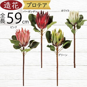 veA   lC A[eBtBVt[ A t[AWg fBXvC p Mtg v[g CeA IuWF G ԍ A[gt[ lHϗt