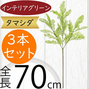 ^}V_ tFCNO[  CeAO[ A lHϗtA ϗtA  A[eBtBVt[ t t ԍ ʃV_ ltsX t[AWg 