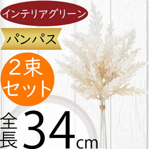 ppX  CeAO[ tFCNO[  lC A lHϗtA CeA IuWF G Ƌ ԍ t } }  A[eBtBVt[ t