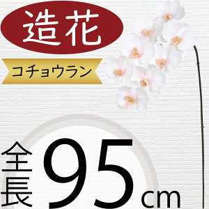 Ӓ  ^  lC Mtg v[g t[AWg j JXj JƏj J@j ړ]j i A[eBtBVt[ R`E I[Lbh 