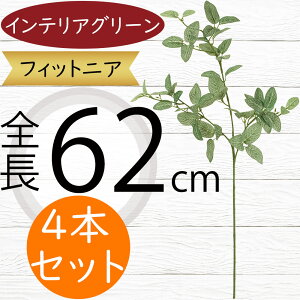 tFCNO[  lC CeAO[ A lHϗtA  lH A[gvc A[gO[ ϗtA ChAO[ CeA G IuWF ԍ t 