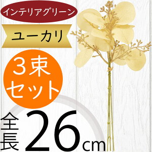 [J tFCNO[  CeAO[ lC A ϗtA  A[gvc lHϗtA A[gO[ lH [J̖ } } ԍ t t t