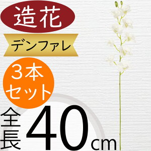 ft@   fhrE lC A[eBtBVt[ A zCg  lHϗtA t[AWg fBXvC p  CeA IuWF 