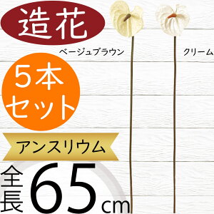 AXE   lC A[eBtBVt[ CeAO[ tFCNO[ A lHϗtA A[gt[ AWg fBXvC  ^ AX