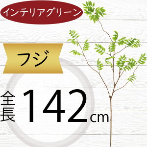 tFCNO[ ӂ  ^  lC CeAO[ A lHϗtA  lH A[gvc A[gO[ ϗtA ChAO[ CeA G Ƌ I