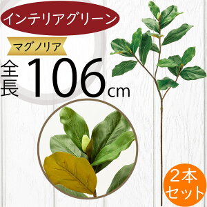 tFCNO[ ^ }OmA  lC CeAO[ A  lHϗtA ԍ ϗtA A[gvc t[AWg fBXvC  G Ƌ }