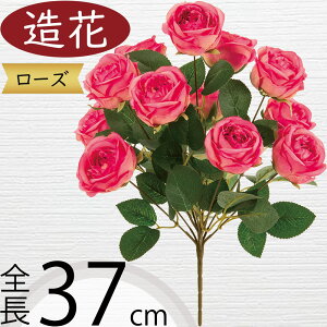 o [Y   KN ΂ A A[eBtBVt[ lHϗtA CeAO[ A[gt[ G tFCNO[ t[AWg fBXvC 