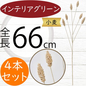   CeAO[ tFCNO[  lC A lHϗtA CeA IuWF G Ƌ ԍ t } }  A[eBtBVt[ t[A