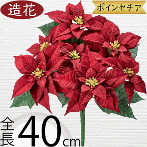 |CZ`A   lC A A[eBtBVt[ lHϗtA CeAO[ A[gt[ G Ƌ tFCNO[ t[AWg fBXvC