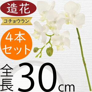 Ӓ  zCg   lC Mtg v[g t[AWg j JXj JƏj J@j ړ]j i A[eBtBVt[ R`E I[