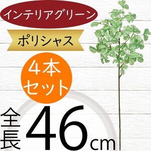 tFCNO[ |VX  ϗtA lC A CeAO[ lHϗtA  A[gvc A[gO[ lH ԍ t t } t[AW