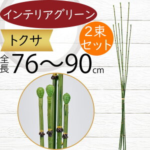 トクサ フェイクグリーン おしゃれ 人気 インテリアグリーン リアル 人工観葉植物 造花 アートプランツ アートグリーン 人工樹木 緑 枝物 和風 モダン フラワーアレンジメント ディスプレイ