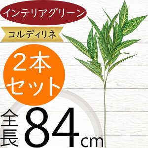 RfBl tFCNO[ ^  CeAO[ A lHϗtA lC ϗtA A[gvc A[gO[  A[eBtBVt[ t ԍ t[